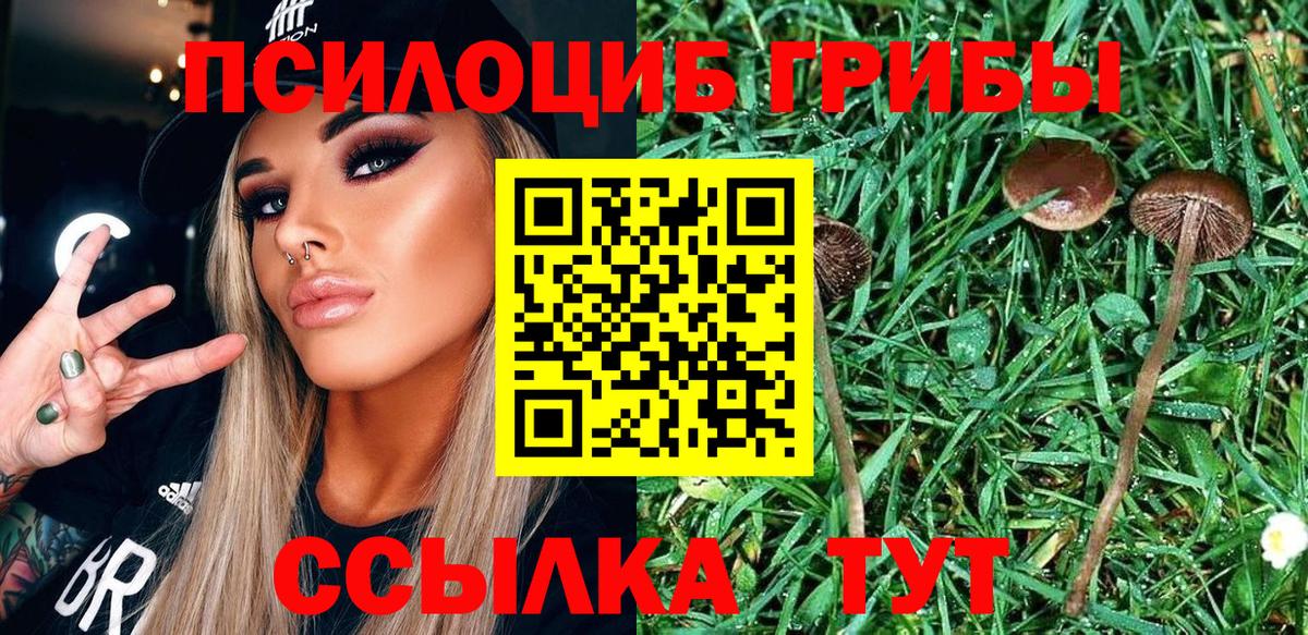 Галлюциногенные грибы мицелий  Вход с VPN  Алатырь 