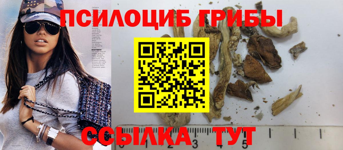 Псилоцибиновые грибы мицелий Алатырь