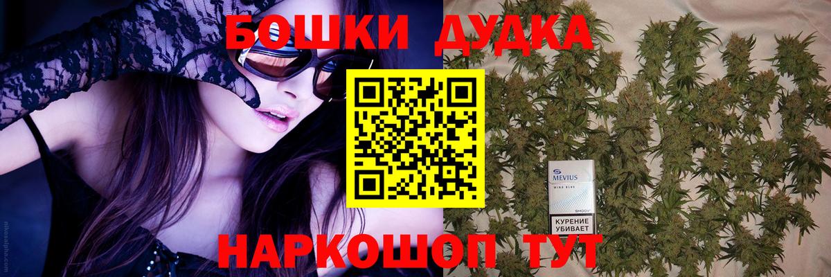 Бошки Шишки White Widow  Бошки Шишки SATIVA & INDICA  Алатырь  Вход с VPN 